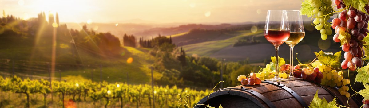 On the wine route