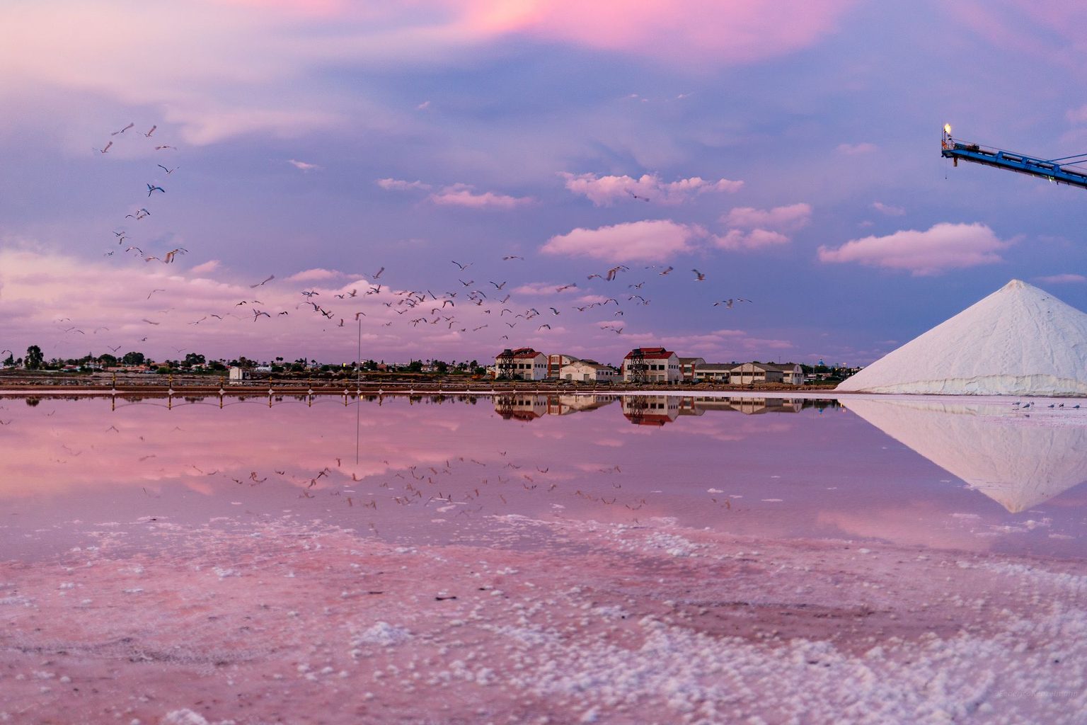 The pink salt lakes of Torrevieja at dusk, a flock of birds reflected in the water