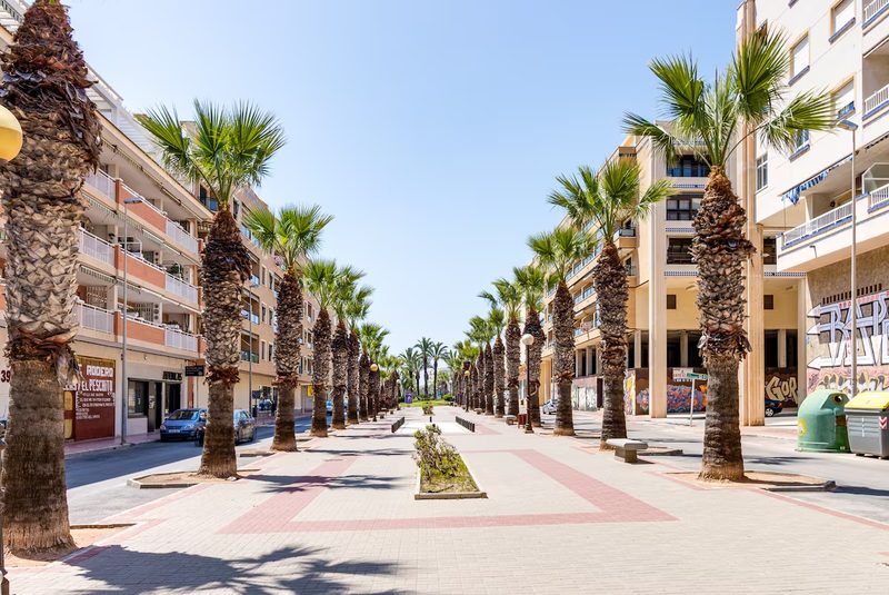 The palm-lined avenue leading to the beach at Guardamar del Segura