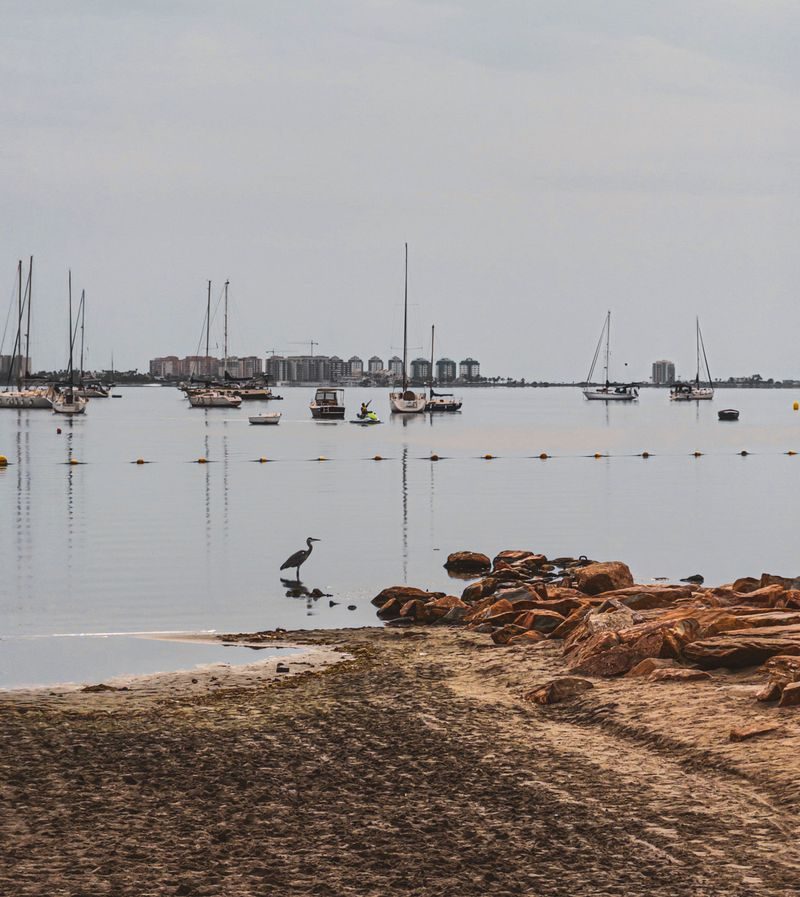 Sailing boats and a heron on the shore of the Mar Menor, at Santiago de la Ribera